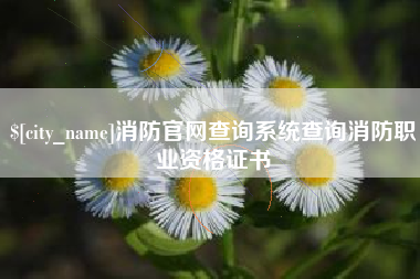 消防官网查询系统查询消防职业资格证书