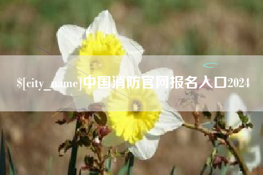 中国消防官网报名入口2024