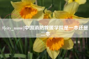 中国消防救援学院是一本还是二本