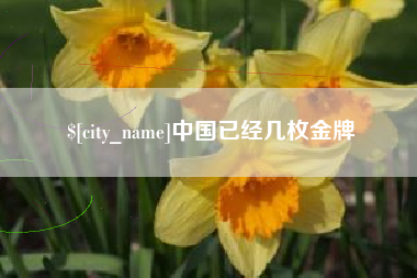 中国已经几枚金牌