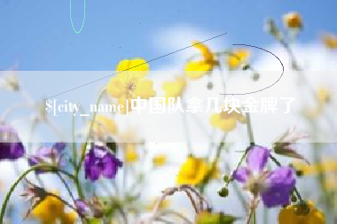 中国队拿几块金牌了