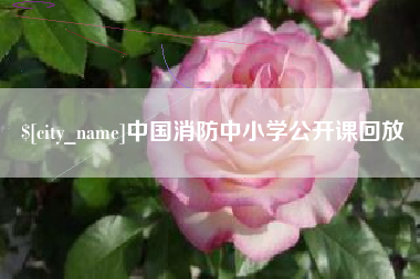 中国消防中小学公开课回放