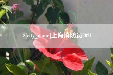上海消防员2021