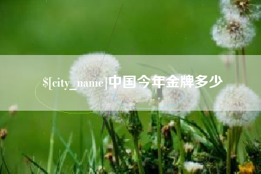 中国今年金牌多少