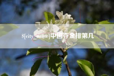 中国夺金排第几
