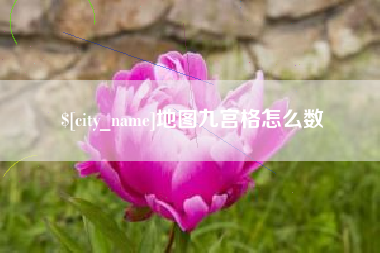 地图九宫格怎么数