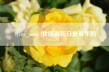 我国消防日是每年的