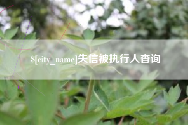 失信被执行人杳询