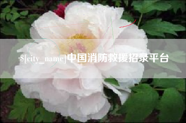 中国消防救援招录平台