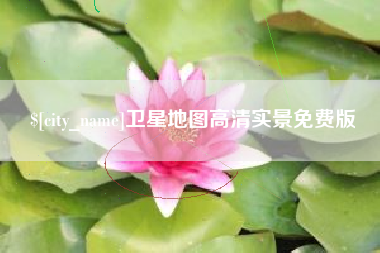 卫星地图高清实景免费版