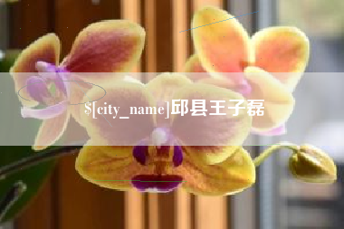 邱县王子磊