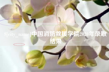 中国消防救援学院2020年录取结果