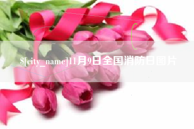 11月9日全国消防日图片
