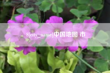 中国地图 市