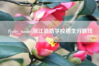 浙江消防学校招生分数线