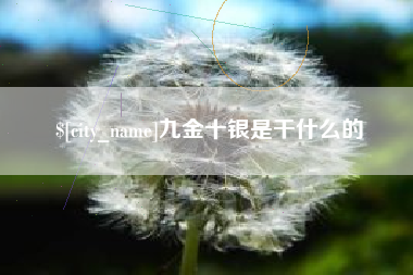 九金十银是干什么的