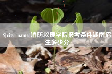 消防救援学院报考条件湖南招生多少分