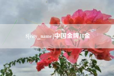 中国金牌18金