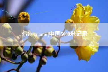 中国5000米记录