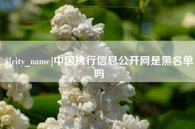 中国执行信息公开网是黑名单吗