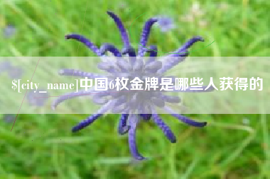 中国6枚金牌是哪些人获得的
