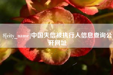 中国失信被执行人信息查询公开网址