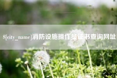 消防设施操作员证书查询网址