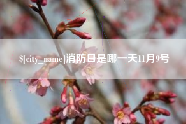 消防日是哪一天11月9号