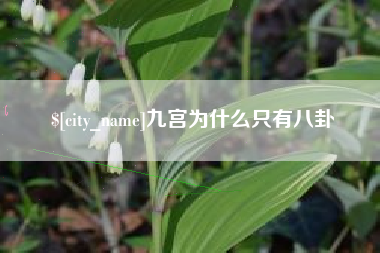 九宫为什么只有八卦