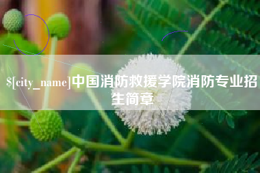 中国消防救援学院消防专业招生简章