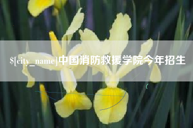 中国消防救援学院今年招生