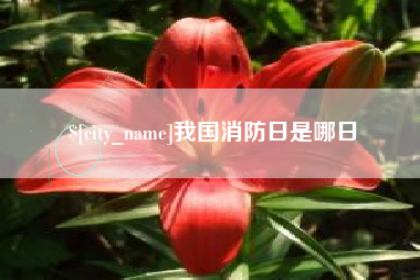 我国消防日是哪日