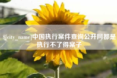 中国执行案件查询公开网都是执行不了得案子