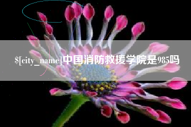 中国消防救援学院是985吗