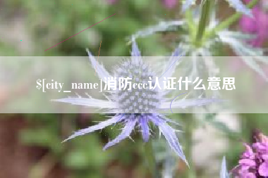 消防ccc认证什么意思