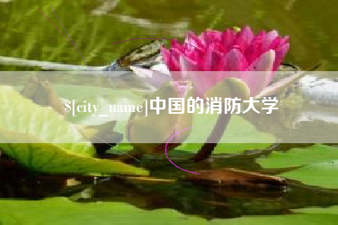 中国的消防大学