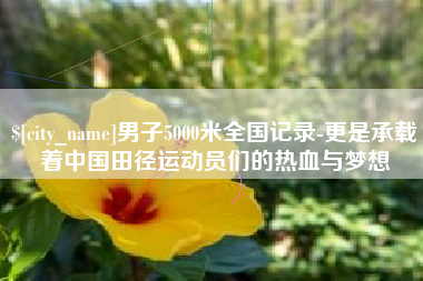 男子5000米全国记录-更是承载着中国田径运动员们的热血与梦想