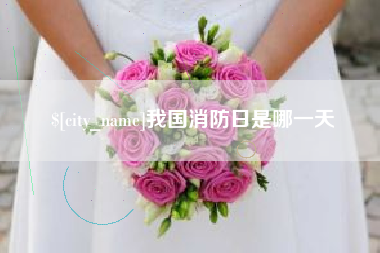 我国消防日是哪一天