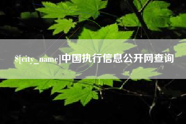 中国执行信息公开网查询