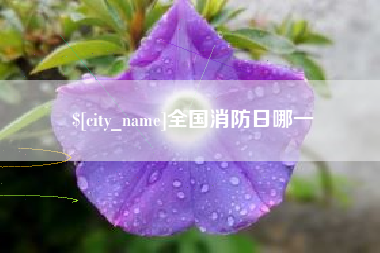 全国消防日哪一