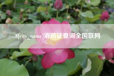 消防证查询全国联网