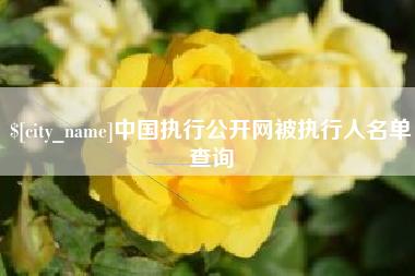 中国执行公开网被执行人名单查询
