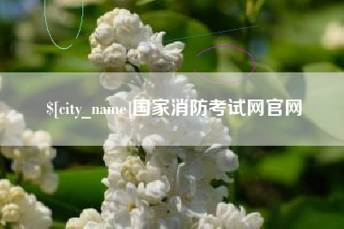 国家消防考试网官网