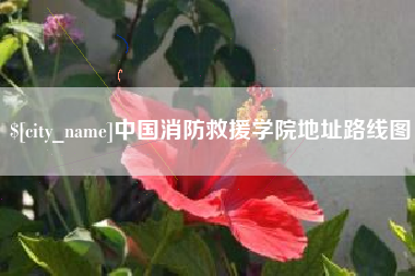 中国消防救援学院地址路线图