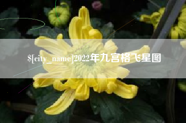 2022年九宫格飞星图