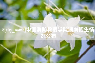 中国消防救援学院湖南招生情况公布