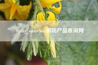 ccc消防产品查询网