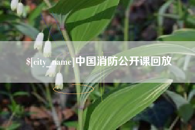 中国消防公开课回放