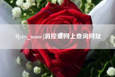 消控证网上查询网址