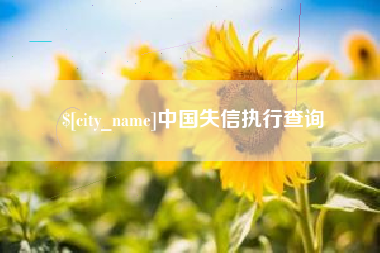 中国失信执行查询